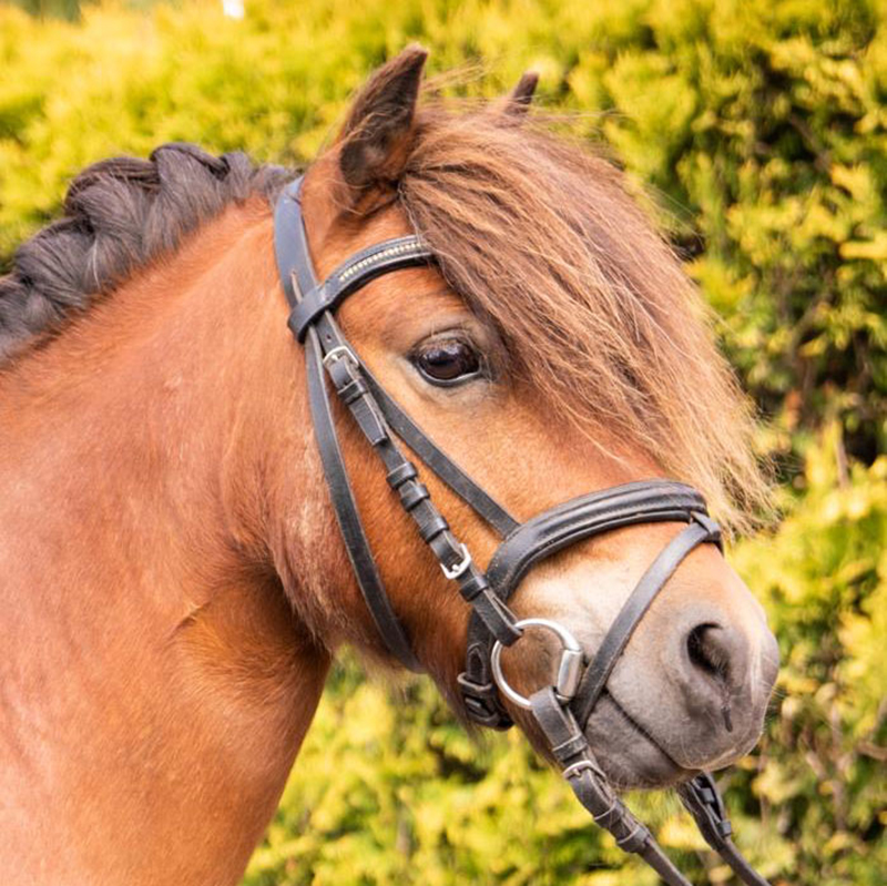 Image is not available