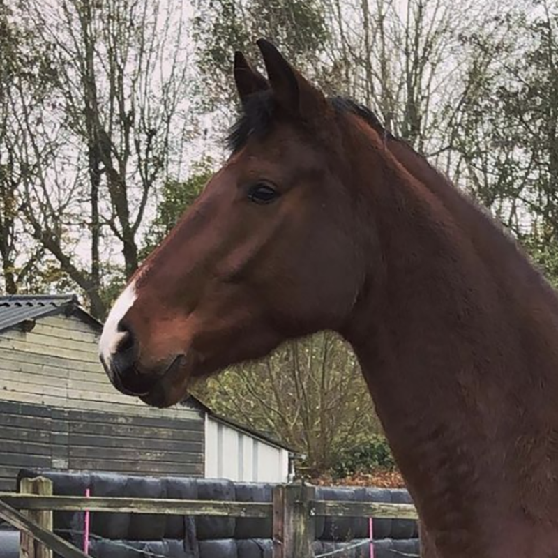 Image is not available