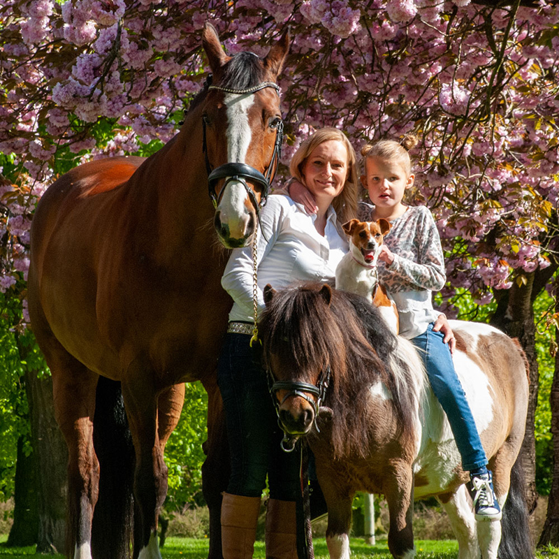 Image is not available