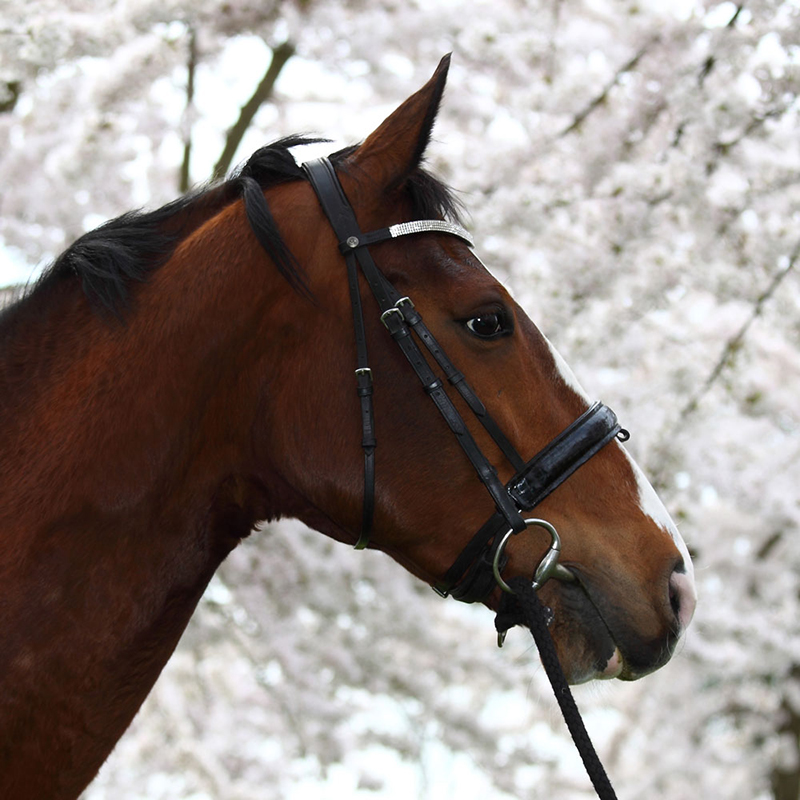 Image is not available